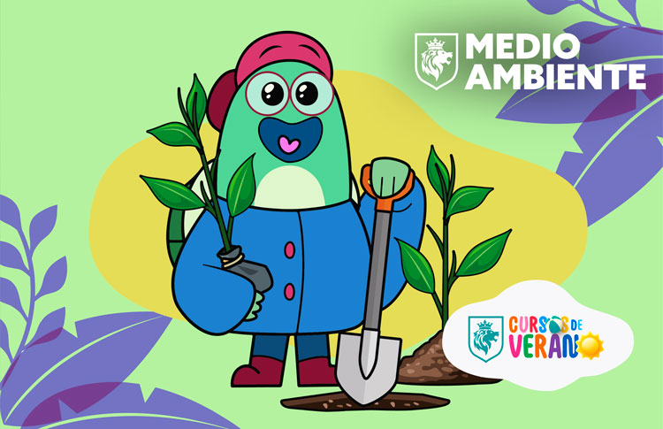 DIRECCIÓN GENERAL DE MEDIO AMBIENTE