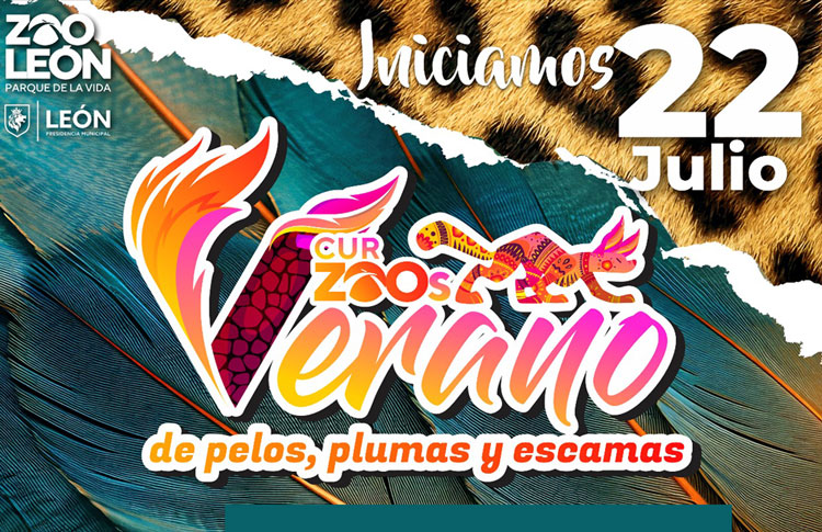 Cursos de Verano